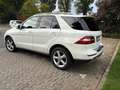 Mercedes-Benz ML 350 ML 350 BlueTEC 4MATIC 7G-TRONIC Weiß - thumbnail 5