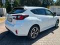 Subaru Impreza Platinum MJ 2024 Bílá - thumbnail 5