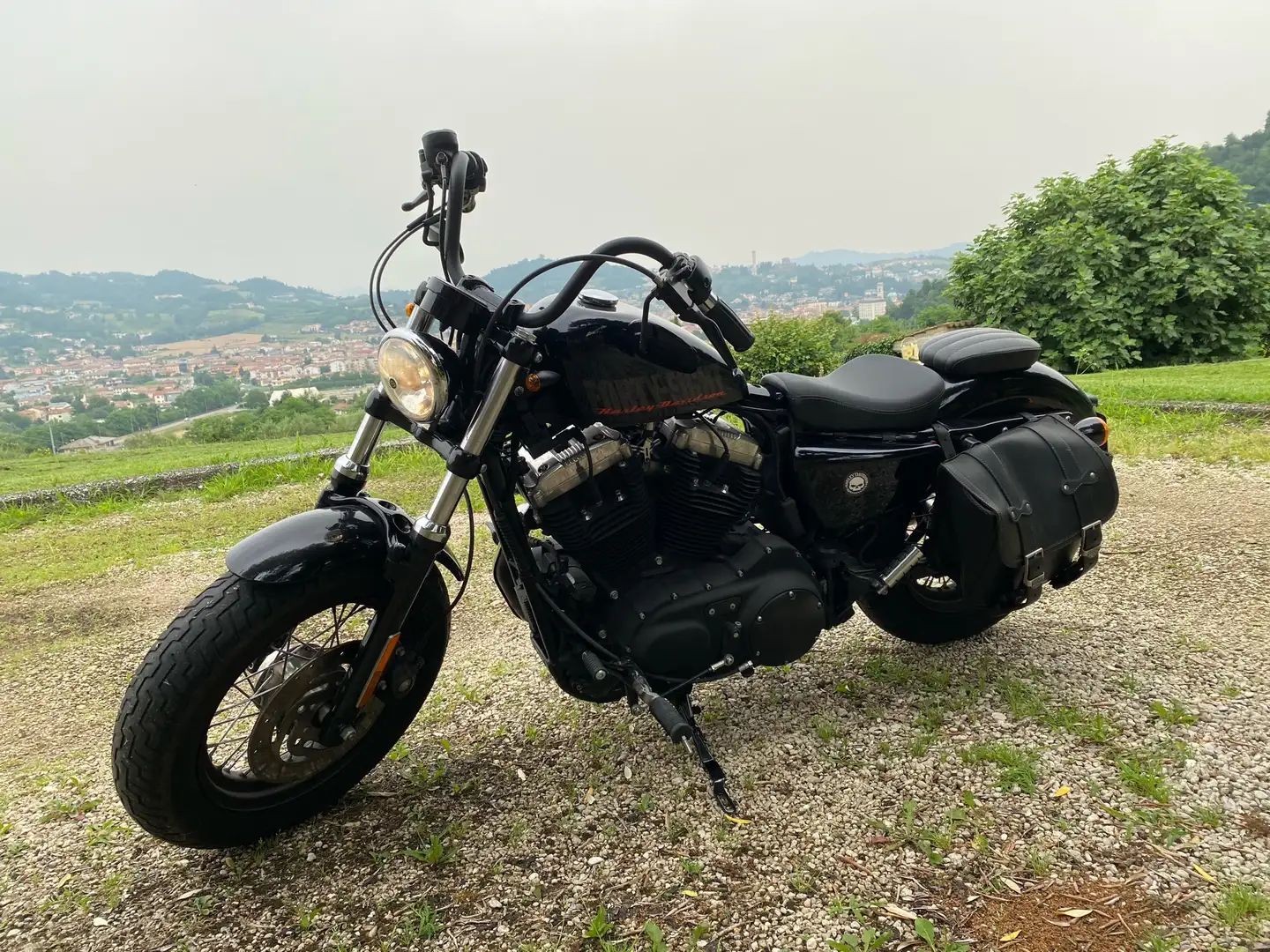 Harley-Davidson Sportster 1200 Forty Eight - 1