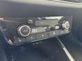 Skoda Fabia Selection TSI Grau - thumbnail 12