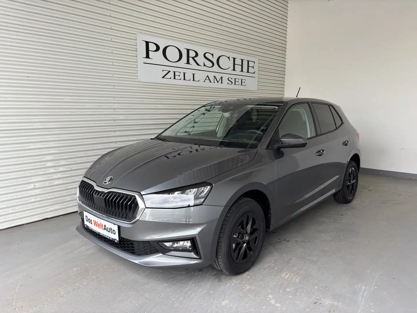 Skoda Fabia Selection TSI Grau - 1