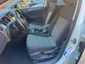 Volkswagen Golf Golf 1.6 TDI 90 CV 5P TecheSound BlueMotion Techn Blanc - thumbnail 7