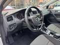 Volkswagen Golf Golf 1.6 TDI 90 CV 5P TecheSound BlueMotion Techn White - thumbnail 15