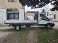Ford Transit 350 2.0TDCi EcoBlue 170CV PL RWD Cab.Trend Bianco - thumbnail 6