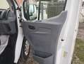Ford Transit 350 2.0TDCi EcoBlue 170CV PL RWD Cab.Trend Bianco - thumbnail 11