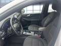 Ford Kuga Plug-In Hybrid ST-Line Bluetooth Navi Klima Blanc - thumbnail 10