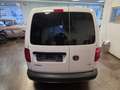 Volkswagen Caddy Caddy Kastenwagen - thumbnail 7