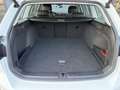 Volkswagen Passat Variant Business 1,5 TSI MATRIX-NAVI-ACC Weiß - thumbnail 33
