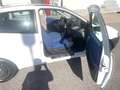 Fiat Punto 3p 1.2 ELX - thumbnail 10