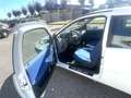 Fiat Punto 3p 1.2 ELX Blanc - thumbnail 17