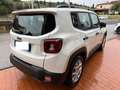 Jeep Renegade Renegade 1.5 Turbo T4 MHEV Altitude TECK PACK WIN Bianco - thumbnail 6