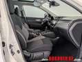 Nissan Qashqai 1,2 DIG-T N-Connecta 4x2 Weiß - thumbnail 20