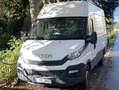 Iveco Daily 35 S 12 D Weiß - thumbnail 1