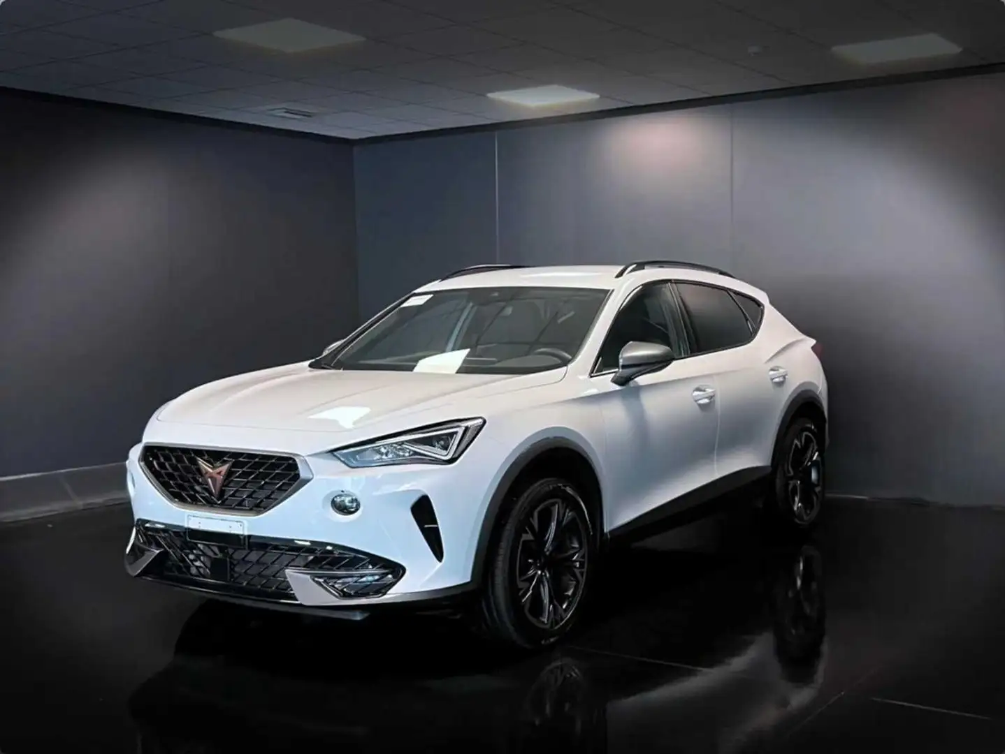 CUPRA Formentor 2.0 TDI 4Drive DSG Blanc - 1