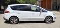 Ford S-Max S-Max I 2010 2.0 tdci Titanium 163cv Bianco - thumbnail 5