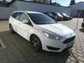 Ford Focus Traveller 1,0 EcoBoost Trend Bianco - thumbnail 8