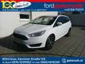 Ford Focus Traveller 1,0 EcoBoost Trend Bianco - thumbnail 1