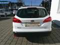 Ford Focus Traveller 1,0 EcoBoost Trend Bianco - thumbnail 4