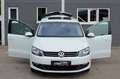 Volkswagen Sharan 2.0 TDI Cup BMT 7-Sitzer|PANO|AHK|1-HAND| Weiß - thumbnail 12