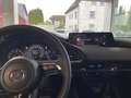 Mazda 3 2.5 140PS Homura Voll-LED RFK Alexa Apple CarP Beige - thumbnail 5