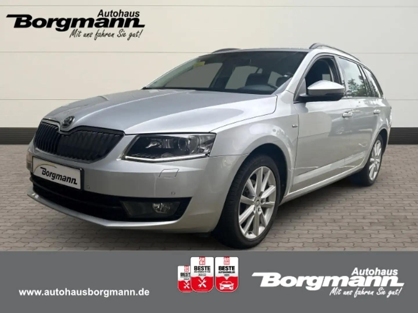 Skoda Octavia Joy 1.4 TSI Combi Ambition Navi Bi-Xenon El. Heckk Plateado - 1