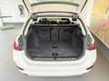 BMW 320 320d Touring Aut. PANO+ACC+LED+AL+LEDER+LiveProf Weiß - thumbnail 14