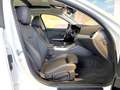 BMW 320 320d Touring Aut. PANO+ACC+LED+AL+LEDER+LiveProf Weiß - thumbnail 5