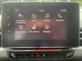 Renault Kangoo E-Tech Advance EV45 DISPONIBLE DE SUITE Gris - thumbnail 17
