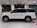 Cadillac Escalade IV 2015 6.2 V8 Platinum auto " PREZZO PIU' IVA " Bianco - thumbnail 3