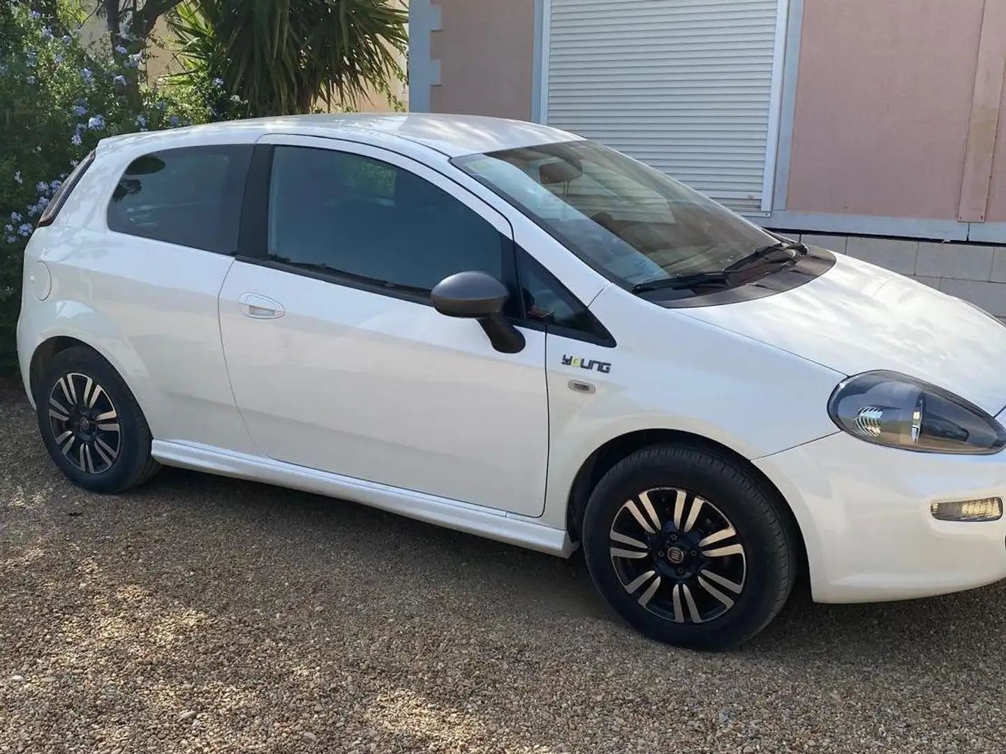 Fiat Punto Punto 1.2 Young 49kW Young Blanco - 2