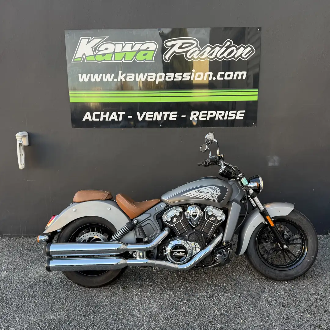 Indian Scout Blanc - 2