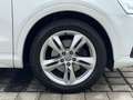 Audi Q3 2.0 TDI quattro Autom.,S-Line,AHK,LED,Navi,Sitzhzg Blanco - thumbnail 20