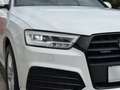Audi Q3 2.0 TDI quattro Autom.,S-Line,AHK,LED,Navi,Sitzhzg Blanco - thumbnail 19