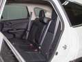 Honda CR-V 1.6 I-DTEC 118KW LIFESTYLE NAV P 4WD AT 160CV 5P Blanco - thumbnail 19