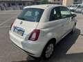 Fiat 500 1.0 Hybrid Connect Bianco - thumbnail 4