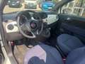 Fiat 500 1.0 Hybrid Connect Bianco - thumbnail 12