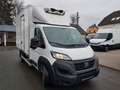 Fiat Ducato Kühlkoffer Kühlkasten Top Zustand Kamera Weiß - thumbnail 3
