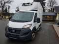 Fiat Ducato Kühlkoffer Kühlkasten Top Zustand Kamera Weiß - thumbnail 2