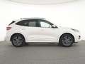 Ford Kuga 2.5Duratec Aut.ST-Line X+LED+AHK+VIRTUAL Weiß - thumbnail 10