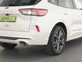Ford Kuga 2.5Duratec Aut.ST-Line X+LED+AHK+VIRTUAL Weiß - thumbnail 14