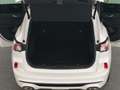 Ford Kuga 2.5Duratec Aut.ST-Line X+LED+AHK+VIRTUAL Weiß - thumbnail 17