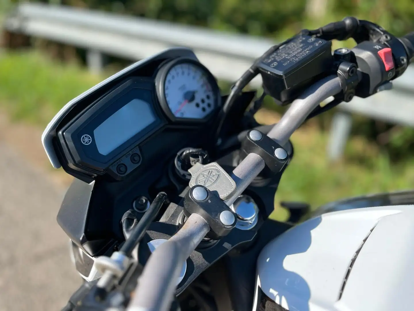 Yamaha FZ 8 - 2