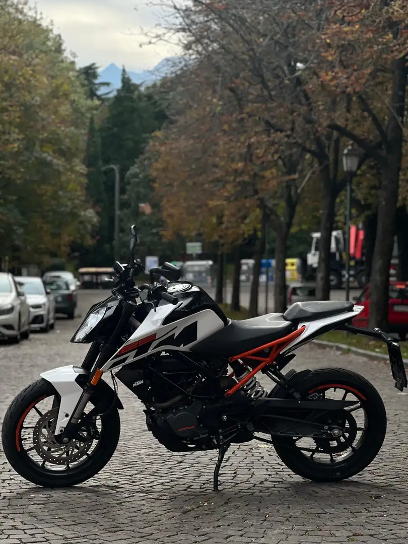 KTM 125 Duke naked Fehér - 1