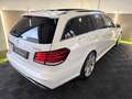 Mercedes-Benz E 350 E 350 BlueTec 4Matic AMG/Airmatic/Led/Pano/360° Weiß - thumbnail 4