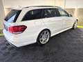 Mercedes-Benz E 350 E 350 BlueTec 4Matic AMG/Airmatic/Led/Pano/360° Weiß - thumbnail 6