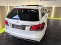 Mercedes-Benz E 350 E 350 BlueTec 4Matic AMG/Airmatic/Led/Pano/360° Weiß - thumbnail 5