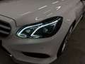 Mercedes-Benz E 350 E 350 BlueTec 4Matic AMG/Airmatic/Led/Pano/360° Weiß - thumbnail 10