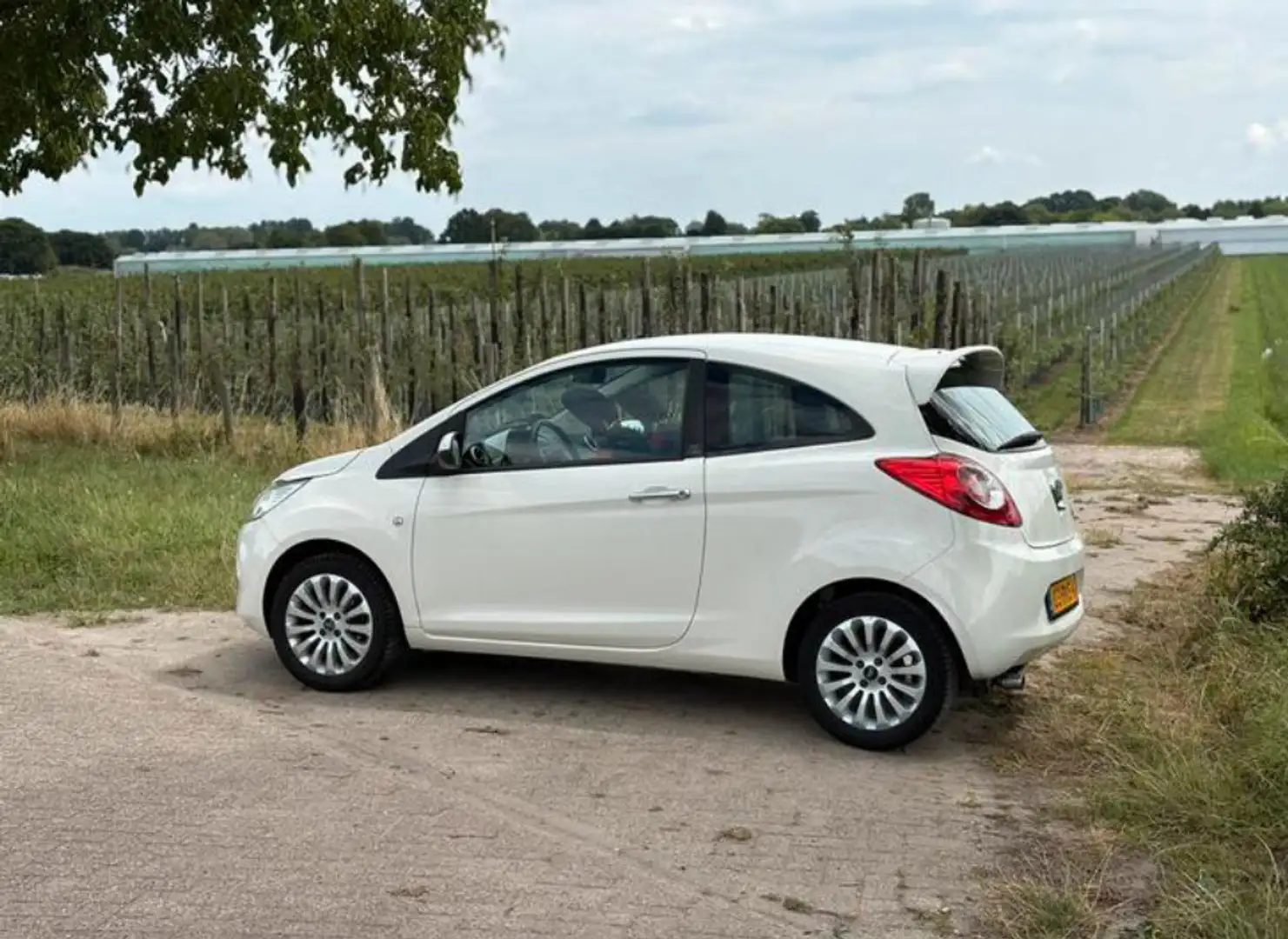 Ford Ka/Ka+ 1.2 Titanium X s/s Wit - 1