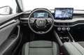 Skoda Superb Superb 2.0 TDI DSG Wagon Selection Grigio - thumbnail 6