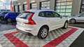 Volvo XC60 BUSINESS d3 150 ch adblueexecutive Blanc - thumbnail 9